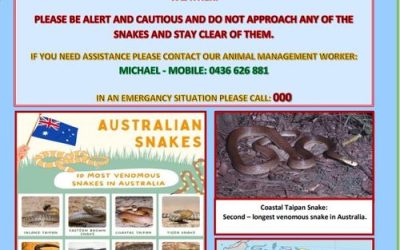PUBLIC NOTICE – Snake Sighting’s Warning