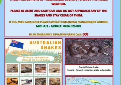 Snake Notice Index of /wp-content/uploads/2023/06/