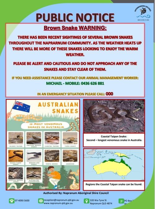 Snake Notice Index of /wp-content/uploads/2023/06/